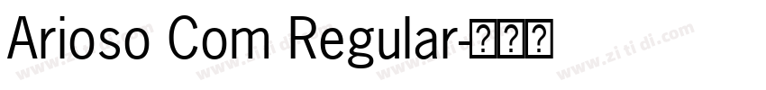 Arioso Com Regular字体转换 Arioso Com Regular字体转换